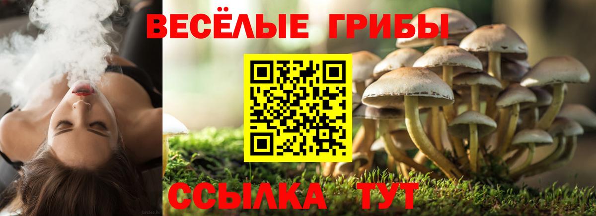 Балаково  Галлюциногенные грибы ЛСД  Вход с VPN 